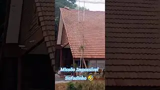 Pets São Demais ♥️🤣 Inscreva-se 👍