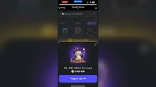 КОМБО и ШИФР дня в Hamster Kombat 08-09.07.2024. 5000 000 монет в Hamster Kombat