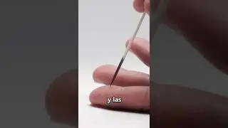 How to remove spines from a porcupine 👏