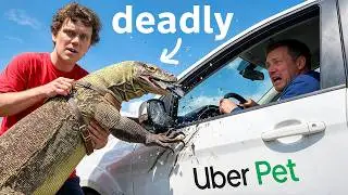 I Tested 'PET FRIENDLY' Ubers With Dangerous Animals