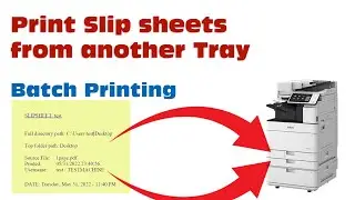 How to Batch Print Files And Slip Sheets on another Tray