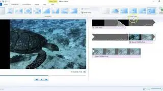 7.  Pan and zoom effects