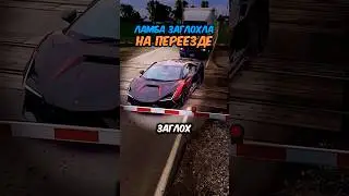 Дальнобой спас ламбу от поезда 😱🚆