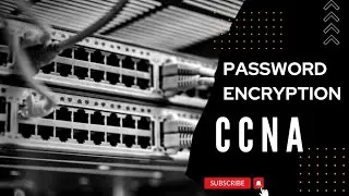 Switch Password Encryption: How to Secure Your Device with Advanced Techniques