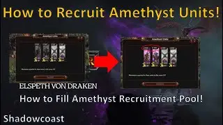 How to Recruit Amethyst Units as Eslpeth von Draken in Total War Warhammer III - Thrones of Decay!