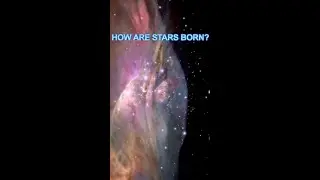 How stars are born in space? Where do they born? What areas of star forming are there in deep space?