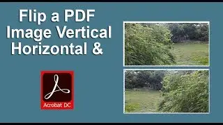 How to Flip a PDF Image Vertical and Horizontal in Adobe Acrobat Pro