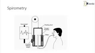 Respiratory System 2 - Physiological Systems and Related Measurement - Biomedical Instrumentation