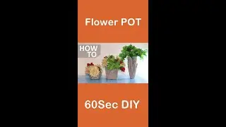 Concrete Flower Pot DIY - 
