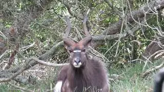 Munch Munch