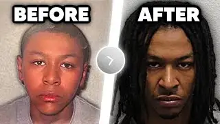 The Rise & Fall Of DigDat