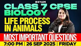 Class 7 CBSE Biology | Life Processes in Animals : Most Important Questions | Xylem Class 7 CBSE