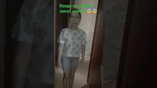 Дима устроился на работу 
