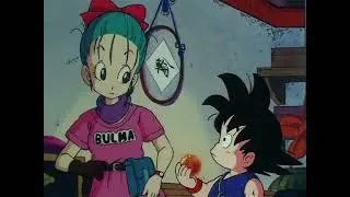 Goku scopre dell'esistenza delle sfere del drago