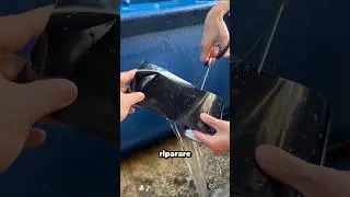 Papà Ha Riparato La Piscina 😱 #Catsoftiktok #CatLovers #cat #cute #FunnyCats #catcartoon #fyp