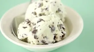 No-Churn Mint Chocolate Chip Ice Cream - Martha Stewart