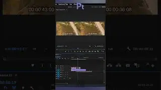 Add Black Bars to Video in Premiere Pro Tutorial