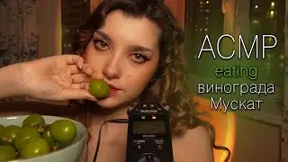 АСМР 🍇 итинг винограда Мускат // ASMR eating Muscat grapes ✨ beatrisius asmr