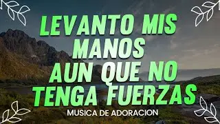 Alabanzas Que Abren Puertas de Bendición Para Tu Casa - Alabanzas Cristianas de Adoración
