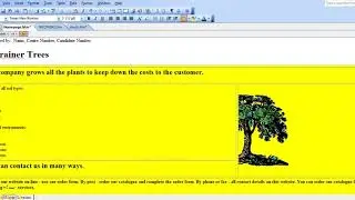 12.  Setting the name for a default target window