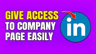 How To Give Access To LinkedIn Company Page (Full Guide)
