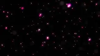 Green Screen  Rose Flowers || Rose Petals Falling || Green Screen Alpha