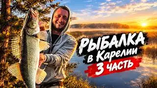 Рыбалка на Сямозере. Ищем судака, делимся опытом!