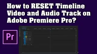 How to RESET Timeline Video and Audio Track on Adobe Premiere Pro?