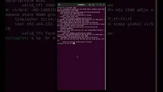 95 - ip address show is messy
