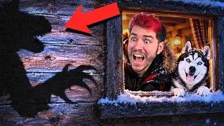 I'm hiding in the woods with my dog. It found us..