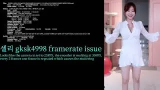 (OBSOLETE sort of...) Framerate issues, 셀리 gksk4998 case