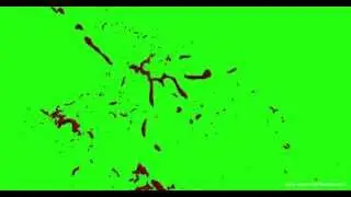 Hd Blood Burst with Motion Blur 166 green screen