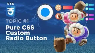 CSS 