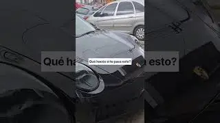 Qué harías vos?