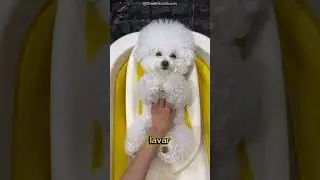 A mamãe deu um banho nela