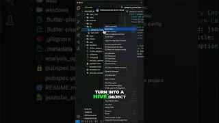 Automatically Generate Hive Object Models in Flutter: A Time-Saving Trick 