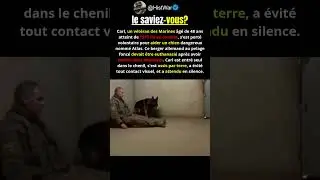 Il s'est assis et a changé le destin d'un chien