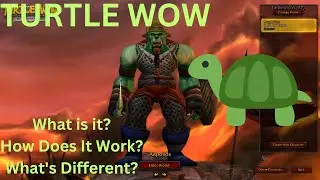 YOU MUST TRY THIS WOW SERVER - Turtle WoW A New Way To Play The Game 2023
