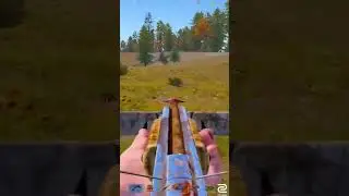 Expert precision #rust