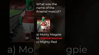What was the name of the Arsenal mascot? 