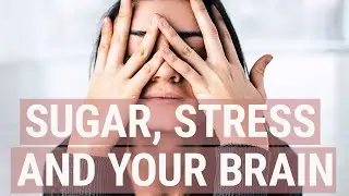 Sugar, Stress, and the Brain - It's All Connected