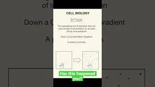 Why does it smell when someone is cooking? - Diffusion GCSE Biology #shorts #gcse #science #biology