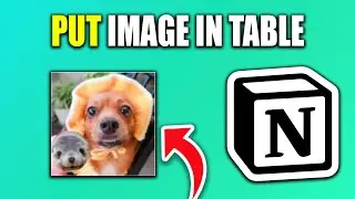 How To Put Image In Table In Notion | Insert Image In Notion Table