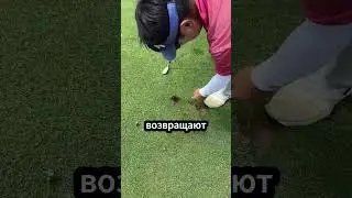Зачем Гольфисты Сыпят Песок После Удара ⛳️