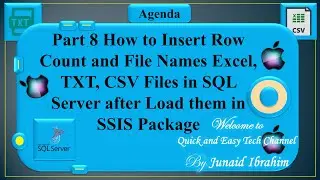 Part 8 How to Insert Row Count and File Names Excel, TXT, CSV Files to SQL Server after Loading them