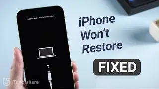 iPhone Won't Restore in Recovery Mode? Here is the Fix!| Top 3 Ways 2025
