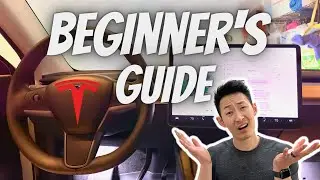 Beginner's Guide BEST Settings for your Tesla