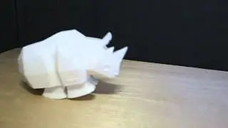 Running Rhino