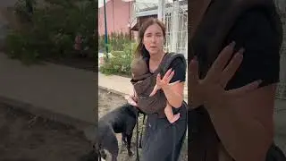 🐕