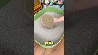 🐱 Questa Sabbia Trasforma la Pipì del Gatto in Pietra! 😱🪨